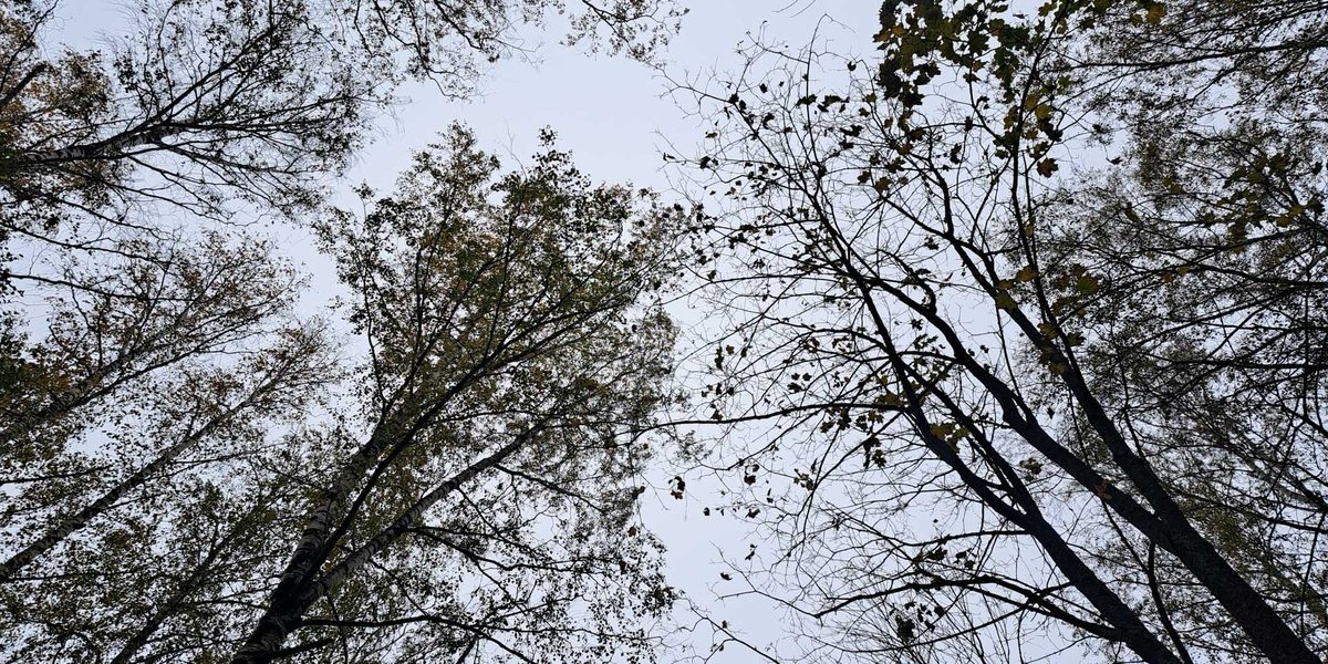 Московский погодный коллапс: Треть месячной нормы осадков за одни сутки Московский погодный коллапс: Треть месячной нормы осадков за одни сутки