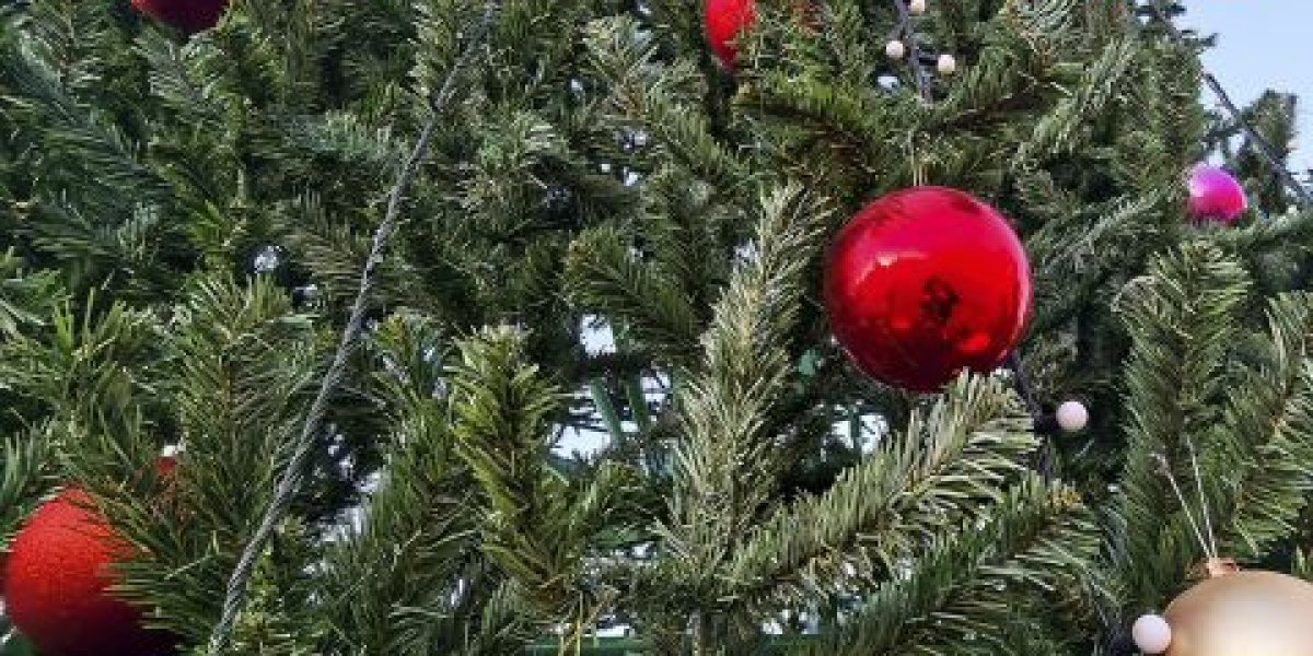 Не просто выбросить: что на самом деле делать с новогодней елкой после праздников Не просто выбросить: что на самом деле делать с новогодней елкой после праздников