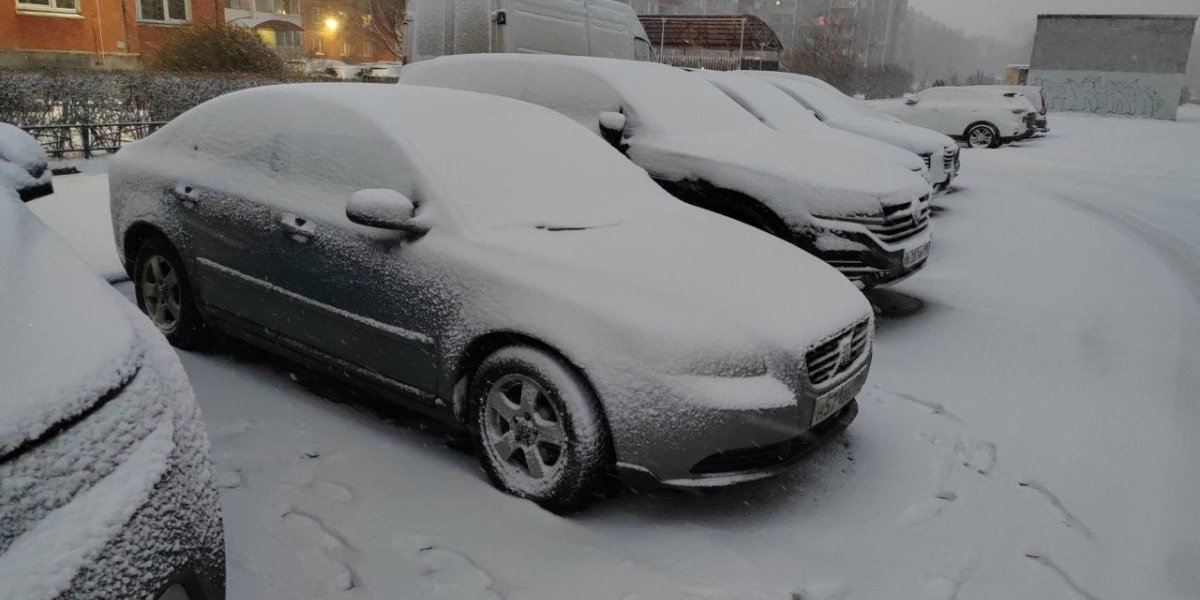 Опасность под снегом: как обычная очистка автомобиля может спасти жизнь Опасность под снегом: как обычная очистка автомобиля может спасти жизнь