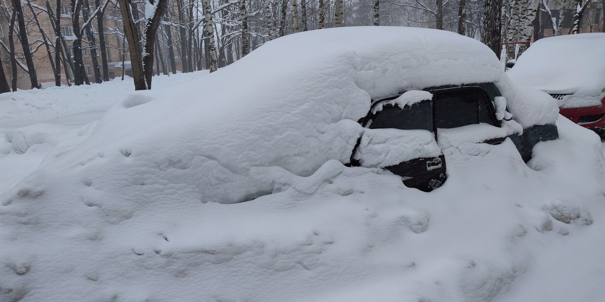 Эксперт по праву рассказала, в каких случаях погода позволяет остаться дома без последствий Эксперт по праву рассказала, в каких случаях погода позволяет остаться дома без последствий