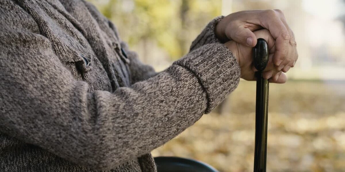 Пенсионеры — золотой фонд: в каких сферах опыт ценится выше молодости Пенсионеры — золотой фонд: в каких сферах опыт ценится выше молодости